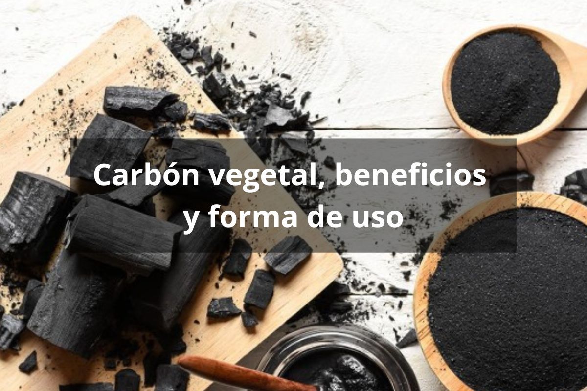 Carbón vegetal, beneficios para la salud y consejos de uso - Tienda  Bodylogic